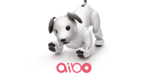 ソニーの犬型ロボット aibo（アイボ）。触れ方や接し方で甘えん坊になったりワイルドになったり、性格まで変化するまるで生き物のようなロボットです。